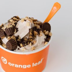 Orange Leaf Frozen Yogurt