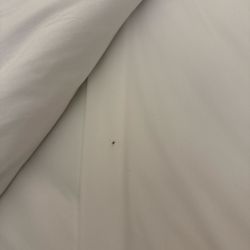 Holiday Inn Express & Suites Corpus Christi - Stain on my bedsheet , restroom is dirty, stains on the bathroom tub