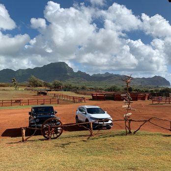 CJM Stables - Horseback Riding Near Me