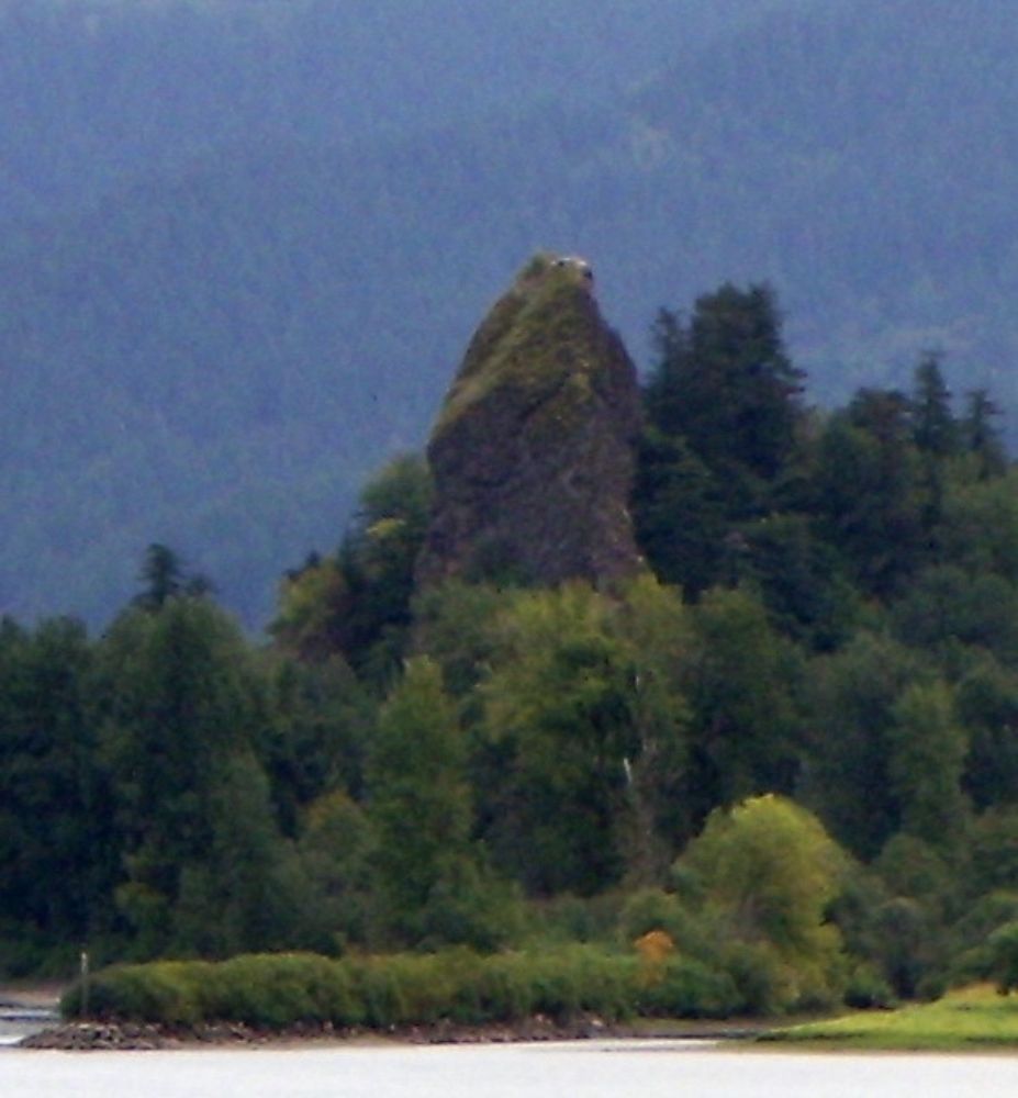 Rooster Rock State Park Logo
