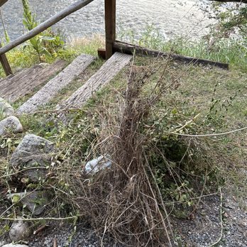 Hotel Rio Vista - The weed garden right outside the patio door in front of beautiful Methow river. - Hotels Near Me - Winthrop, Washington Hotel Rio Vista - The weed garden right outside the patio door in front of beautiful Methow river. - Hotels Near Me - Winthrop, Washington