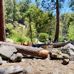 Willow Creek Trail