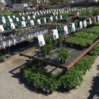 Mahoney's Garden Center - Nurseries & Gardening Near Me - Winchester, Massachusetts Mahoney's Garden Center - Nurseries & Gardening Near Me - Winchester, Massachusetts
