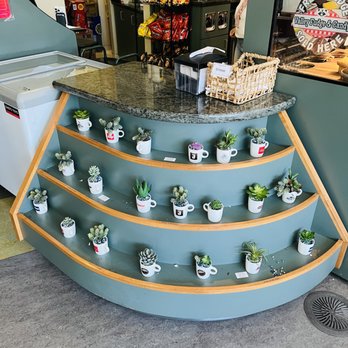 Prologue Coffee & Tea - Counter Area - Coffee & Tea Near Me - Walnut Creek, California Prologue Coffee & Tea - Counter Area - Coffee & Tea Near Me - Walnut Creek, California