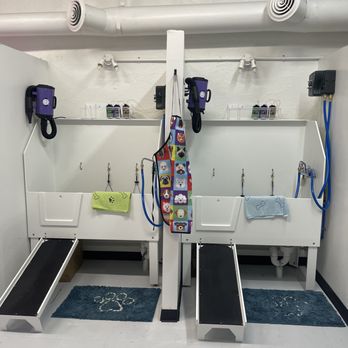 Daisy and Dog - Two self-wash stations available for use with shampoo, blow dry and towel access. - Pet Stores Near Me - Dallas, Texas Daisy and Dog - Two self-wash stations available for use with shampoo, blow dry and towel access. - Pet Stores Near Me - Dallas, Texas