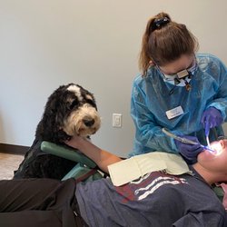 Mint Dental Care - Do you have dental anxiety? Our therapy dog can help calm you during your treatment!