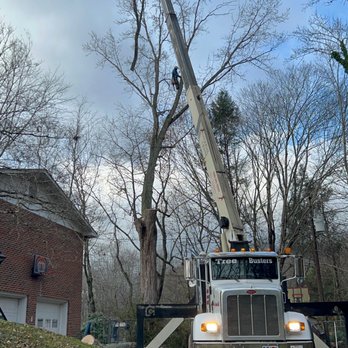 Castillo Tree Services - Tree Services Near Me Castillo Tree Services - Tree Services Near Me