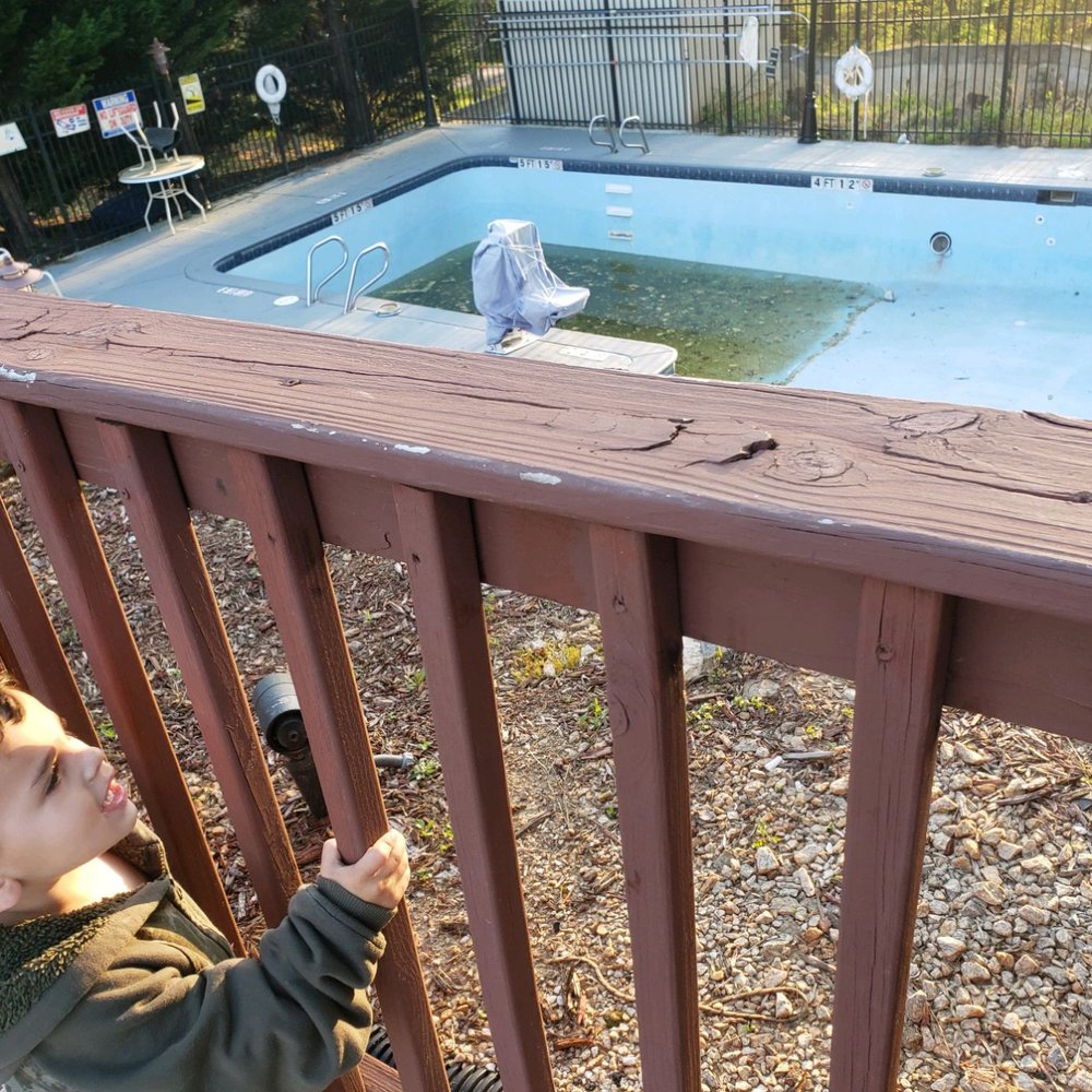 There's shit in the swimming pool There's shit in the swimming pool
