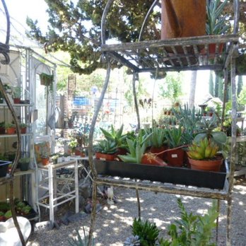 Dragonfly Shops and Gardens - Beautiful succulents to choose from. - Jewelry Near Me - Orange, California