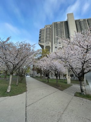 John P. Robarts Research Library by null