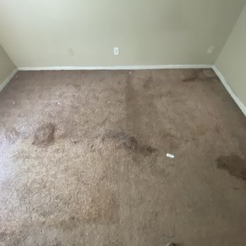 Perfect Sparkle - Carpet cleaning - Home Cleaning Near Me