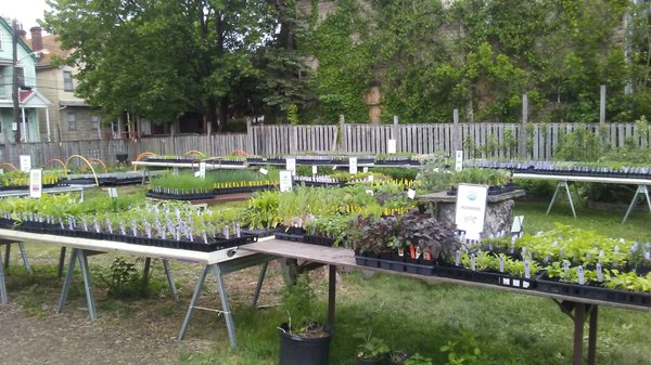 Garden Dreams Urban Farm & Nursery - Grow Pittsburgh by null