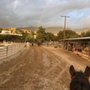 Rose Bowl Riders