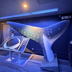 Flandrau Science Center & Planetarium
