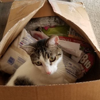 Target Central Return Center - My cat was into this box full of rice and cat food (48 lbs.), but luckily he didn't try to chew the package of needles in it. - Department Stores Near Me - Indianapolis, Indiana Target Central Return Center - My cat was into this box full of rice and cat food (48 lbs.), but luckily he didn't try to chew the package of needles in it. - Department Stores Near Me - Indianapolis, Indiana