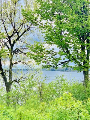 Wellesley Island State Park by null