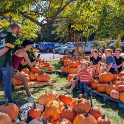So many great spots to take Pumpkin Patch family photos.