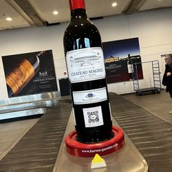 Aéroport de Bordeaux Mérignac - Baggage claim