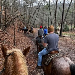 Trackrock Stables