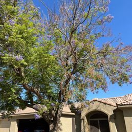 Before photo