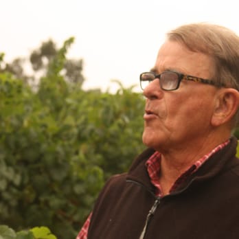 ACORN Winery - Bill, one of the owners - Wineries Near Me - Healdsburg, California ACORN Winery - Bill, one of the owners - Wineries Near Me - Healdsburg, California