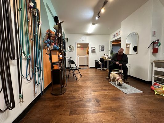 Noble Woof Dog Training