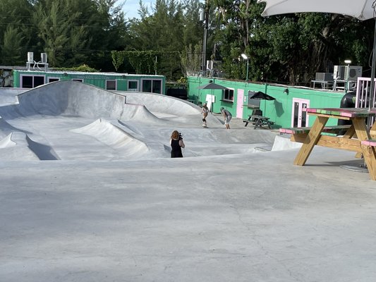 Skatebird Miami by null