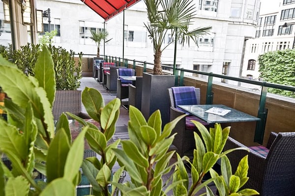 Boisdale of Canary Wharf by null