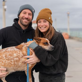 Love Ur K9 - Pet Training Near Me - Redondo Beach, California Love Ur K9 - Pet Training Near Me - Redondo Beach, California