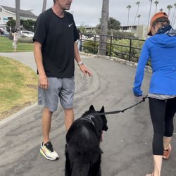 iSpeakDog! - Private Dog Training for Leash Aggression Training in Laguna Beach