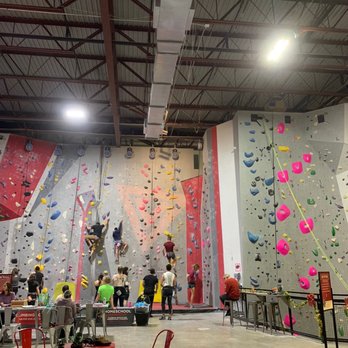 Vertical Ventures - Rope section. - Rock Climbing Near Me - St. Petersburg, Florida