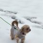 Photo of Branchville Animal Hospital