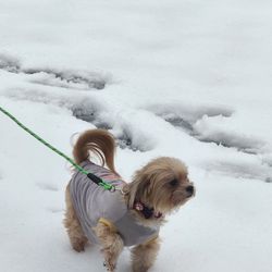 Branchville Animal Hospital