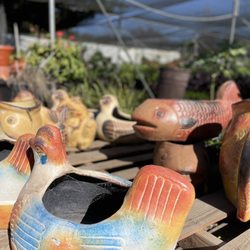 Mezcala Nursery - Different pots