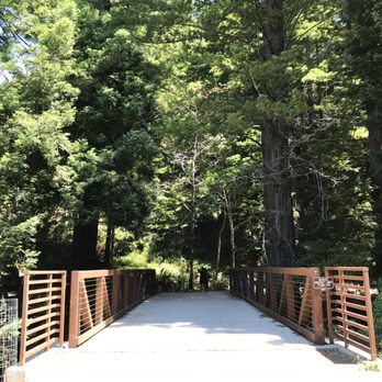 Purisima Creek Trail - Beautiful! - Hiking Near Me - Half Moon Bay, California Purisima Creek Trail - Beautiful! - Hiking Near Me - Half Moon Bay, California