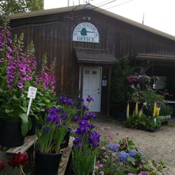Sylvan Nursery - Huge let down.