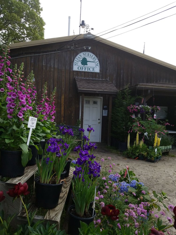 SYLVAN NURSERY Updated October 2024 11 Reviews 1028 Horseneck Rd