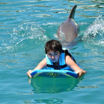 Dolphin Discovery Costa Maya - Water Parks Near Me - Mahahual, ROO