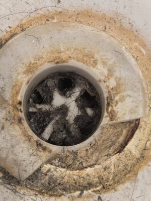 Drain-EEZ Plumbing Logo