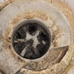 Drain-EEZ Plumbing