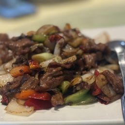The spicy lamb was really good too, def has a kick at mild The spicy lamb was really good too, def has a kick at mild