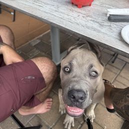 Hades. Waiting on a chip! Hades. Waiting on a chip!