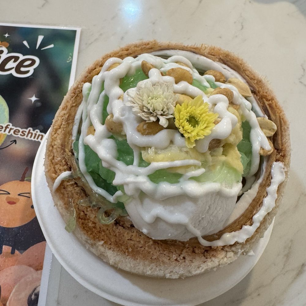 Cococello - Coconut Ice Cream with durian, coconut jelly, and peanut toppings in a Fresh Coconut Bowl - Ice Cream & Frozen Yogurt Near Me - St Petersburg, Florida