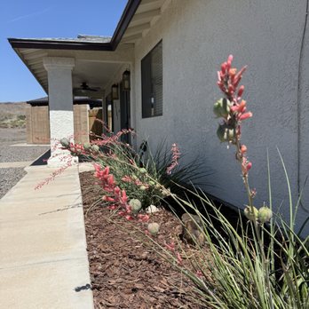 Cynthia Martel - Realty One Group Mountain Desert - Real Estate Agents Near Me - Kingman, Arizona Cynthia Martel - Realty One Group Mountain Desert - Real Estate Agents Near Me - Kingman, Arizona