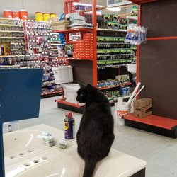 Slumberger Lumber - Meow..