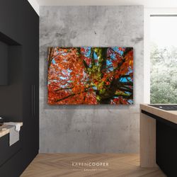 Karen Cooper Gallery - "Autumn in Orange"
