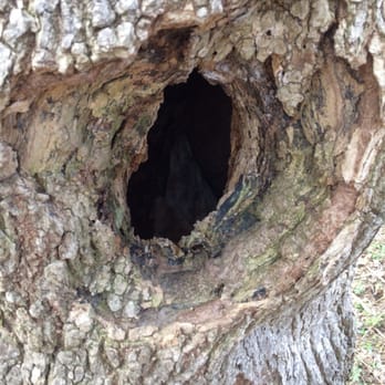 Billy Goat Trail - Section  A - woogers needed a pic - Parks Near Me - Potomac, Maryland