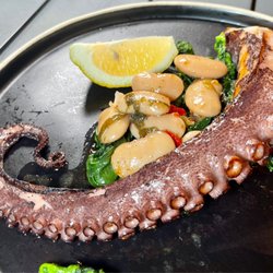 Pulpo
