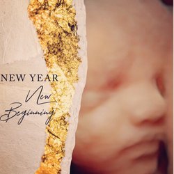 Reveal 3D/4D Ultrasound Studio - Wishing you all the best in the New Year!
