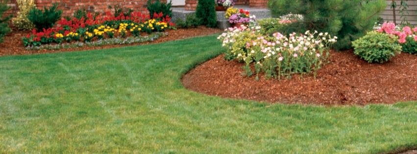 Total Lawn & Landscape - tree service in Annapolis, MD
